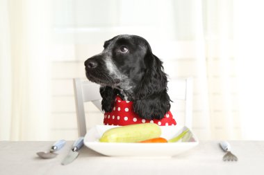 Dog looking at plate of fresh vegetables on dining table clipart