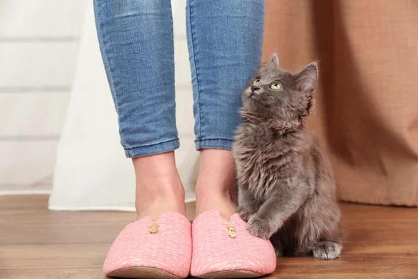 Cute gray kitten with owner on floor at home — Stock Photo, Image