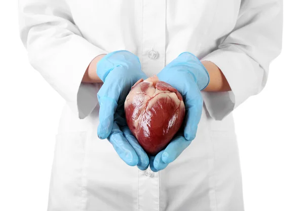 Corazón en manos del médico aislado en blanco — Foto de Stock