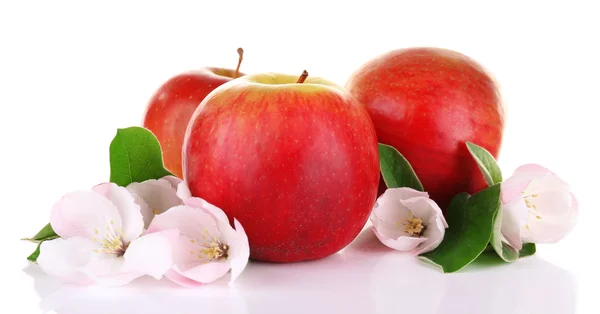 Maçãs frescas com flor de maçã, isoladas em branco — Fotografia de Stock
