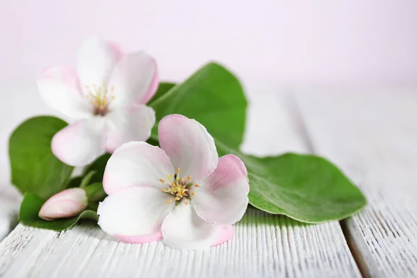 木製のテーブルの葉とリンゴの花 — ストック写真