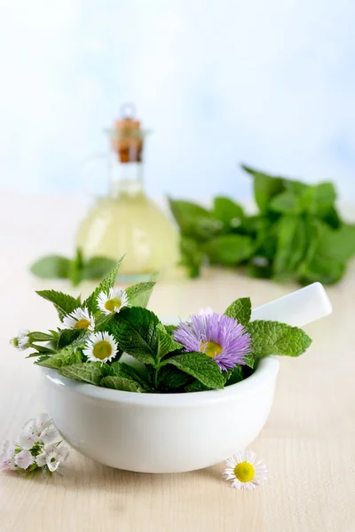 Herbs, berries, flowers and pills — Stock Photo, Image