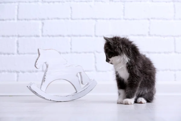 Cute gray kitten plays