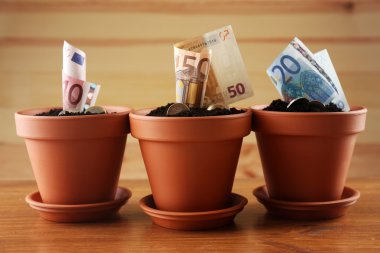 Çiçeklik ahşap arka plan üzerinde büyüyen para