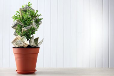 ahşap arka plan üzerinde para ile tencerede dekoratif ağaç