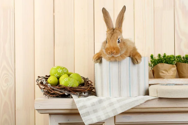 Süßes rotes Kaninchen mit Ostereiern im Regal — Stockfoto