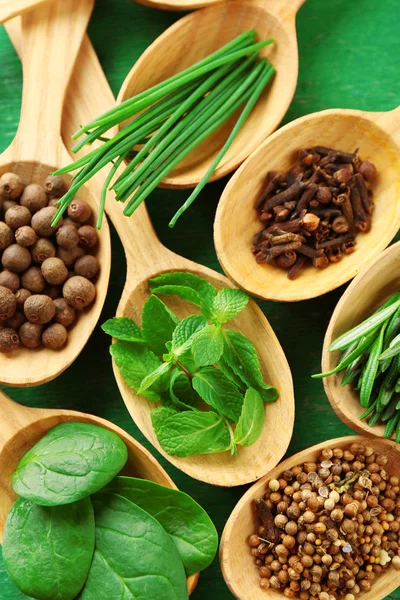 Cucchiai di legno con erbe fresche e spezie — Foto Stock