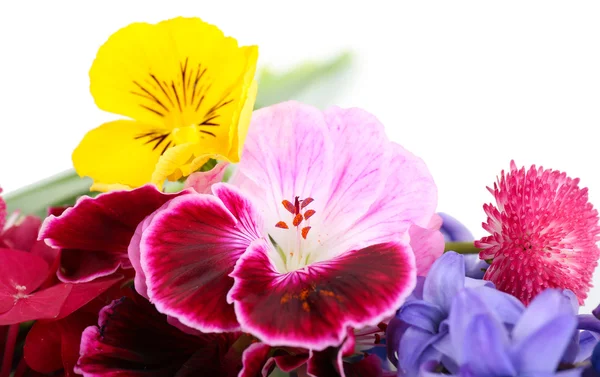 Belo buquê de flores brilhantes — Fotografia de Stock