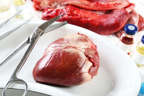 Organo cardiaco in vassoio metallico medico con utensili — Foto Stock