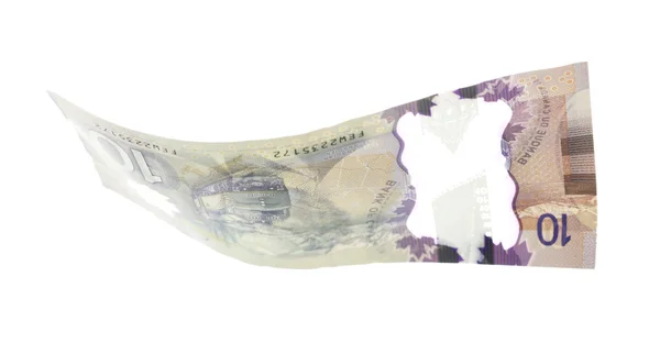 Kanadský dolar 10, izolovaných na bílém — Stock fotografie