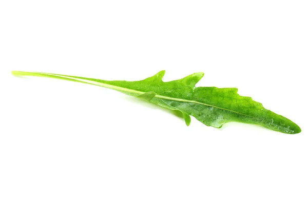 Grünes Rucolablatt isoliert auf weißem Hintergrund — Stockfoto
