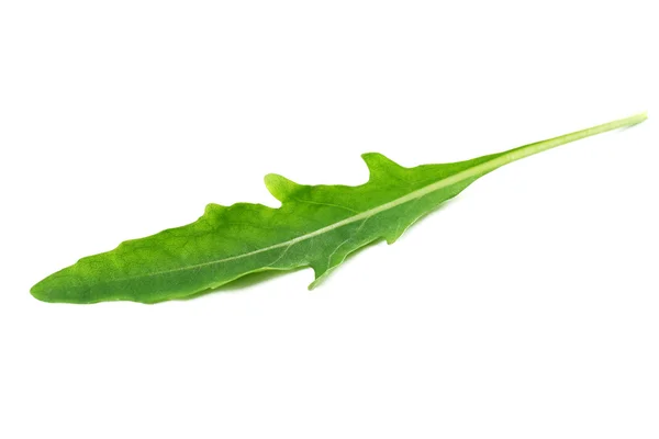 Zielony liść rukoli izolowany na białym — Zdjęcie stockowe