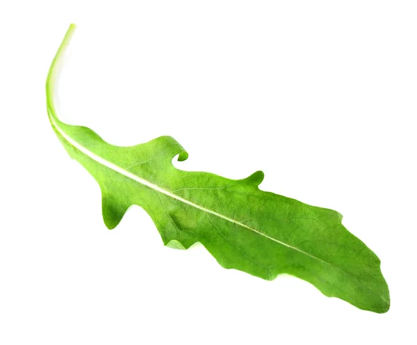 Folha de arugula verde isolada em branco — Fotografia de Stock