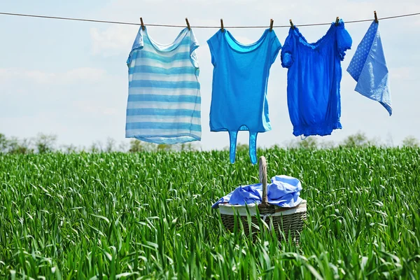 Wäscheleine mit Kleidung im Frühlingsfeld — Stockfoto