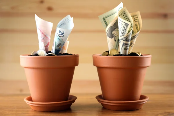 Creciendo dinero en macetas sobre fondo de madera —  Fotos de Stock