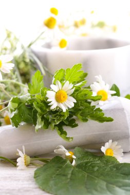 otlar ve harç çiçeklerle