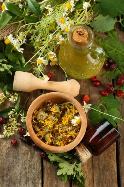 otlar, meyveler ve çiçekler