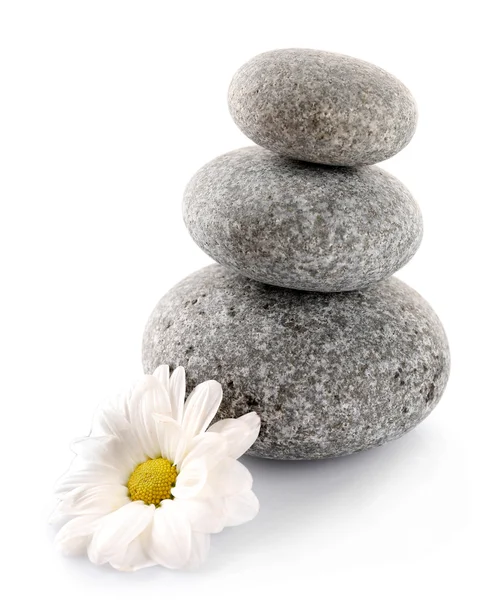 Stack of spa stones with chamomile isolated on white — Stock Photo, Image