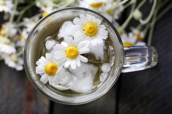 Chamomile tea with chamomile flowers — Stock Photo, Image