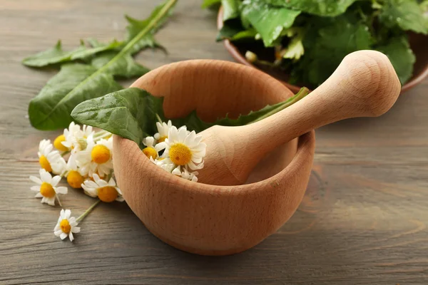 Herbs, berries and flowers — Stock Photo, Image