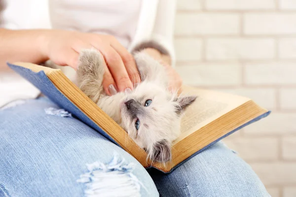 若い女性の持ち株の猫 — ストック写真