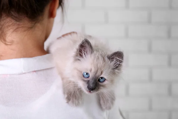 Young woman holding cat — Stock Photo, Image