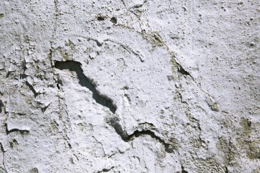 Çimento doku arka plan