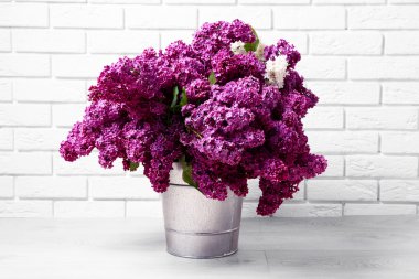 Oda yakın çekim güzel leylak çiçeği