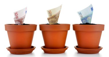 artan para Çiçeklik