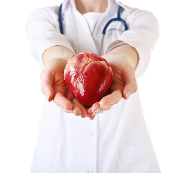 Corazón en manos del médico aislado en blanco —  Fotos de Stock
