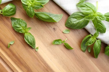 Yeşil taze fesleğen