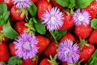 taze çilek ve çiçekler