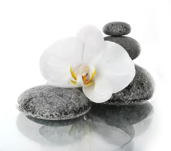 Stack of spa stones — Stock Photo, Image