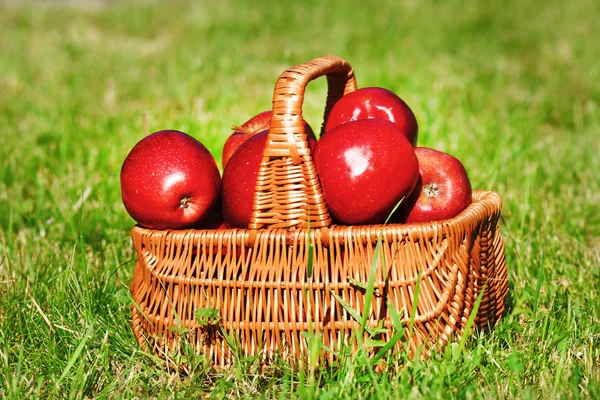 Érett vörös alma — Stock Fotó