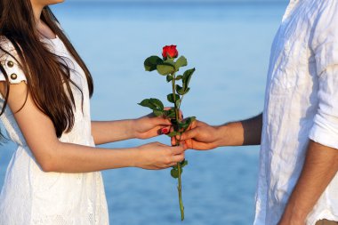 man giving flower for his girlfriend
