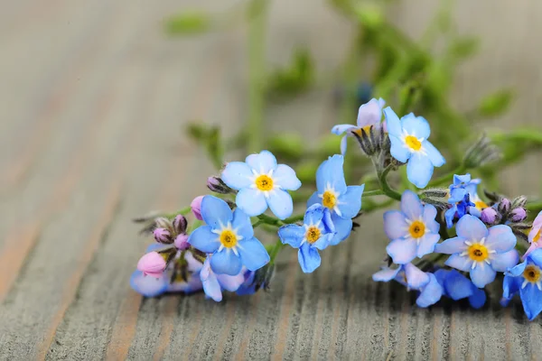 Незабудки цветы на деревянном фоне — стоковое фото