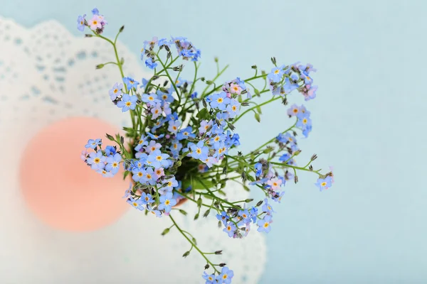 Незабудки цветы на синем фоне — стоковое фото