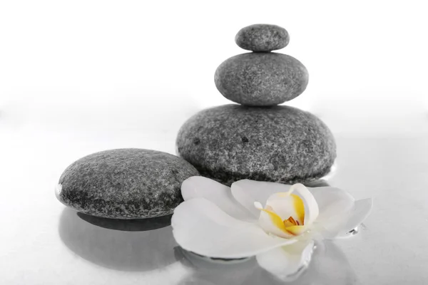 Stack of spa stones with orchid flower — Stock Photo, Image