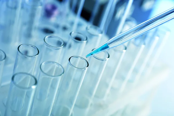 Test tubes in laboratory close up — Stock Photo, Image