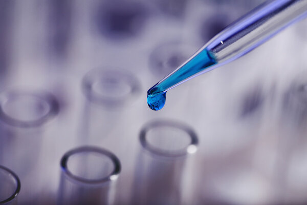 Test tubes in laboratory close up