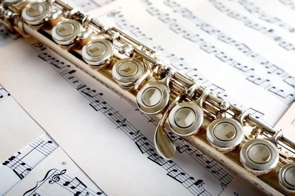 Flute on music notes background — Stock Photo, Image