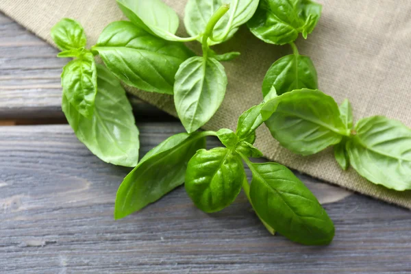 Green fresh basil — Stock Photo, Image