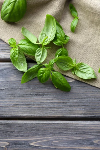 Green fresh basil — Stock Photo, Image