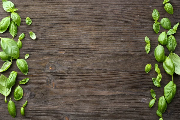 Albahaca fresca verde — Foto de Stock