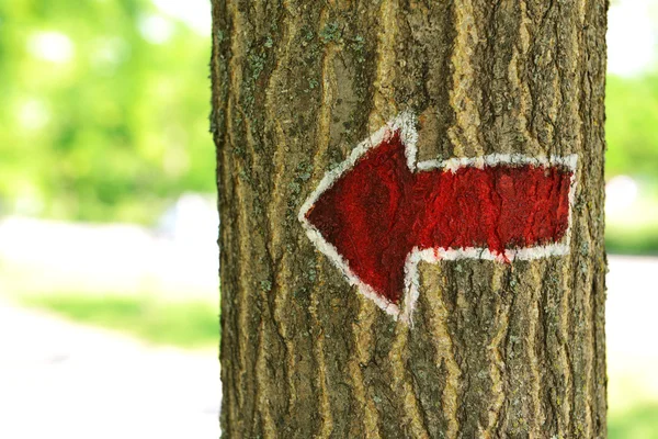 Bright arrow on tree outdoors — Stock Photo, Image