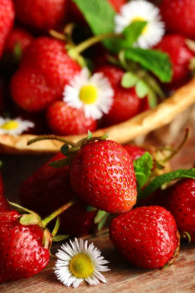 Fresas rojas maduras — Foto de Stock
