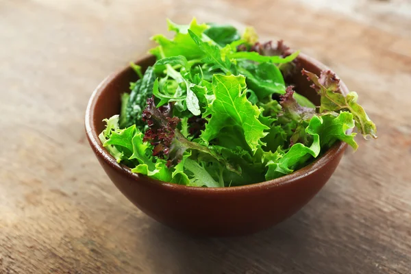 Míchaný zelený salát — Stock fotografie