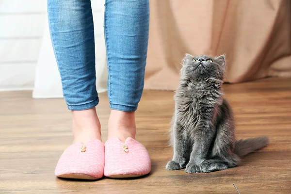 Lindo gatito gris con propietario en el suelo en casa —  Fotos de Stock