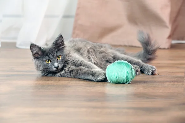 Leuk grijze katje speelt met draden voor breien op verdieping thuis — Stockfoto