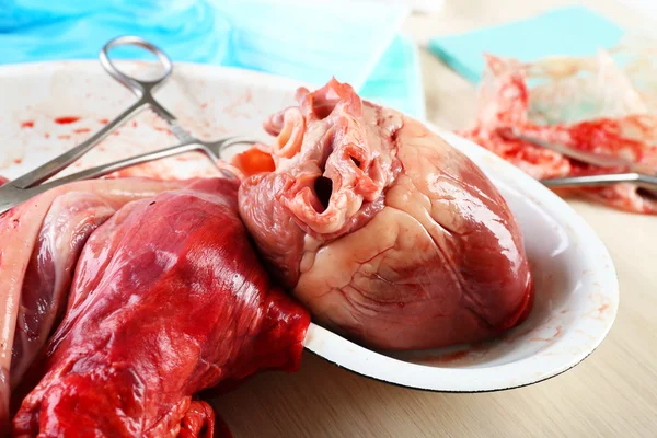 Heart organ in medical metal tray with tools on table, closeup — Stock Photo, Image